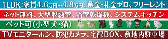 ybg(^EL)TVj^[zAhƃJAzBOXA~nԏlbgA^[A@AVXeLb`PLDK:ƒ4.6~`4.8~A~E[At[g