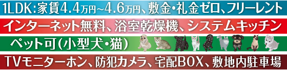 ペット可(小型犬・猫)TVモニターホン、防犯カメラ、宅配BOX、敷地内駐車場インターネット無料、浴室乾燥機、システムキッチン１LDK:家賃4.4万円～4.6万円、敷金・礼金ゼロ、フリーレント