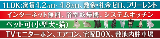 ybg(^EL)TVj^[zAGARAzBOXA~nԏC^[lbgA@AVXeLb`PLDK:ƒ4.2~`4.8~A~E[At[g