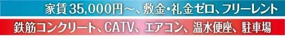TVj^[zA~nԏ