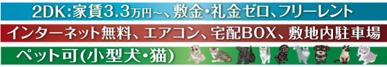 ペット可（小型犬、猫）インターネット接続無料、エアコン、宅配BOX、敷地内駐車場１K・1DK・2K・2DK:家賃37,0００円～、敷礼ゼロ、フリーレントペット飼育の場合
別途礼金1ヶ月、1匹につき2,000円賃料アップ(２匹迄)、防犯カメラ