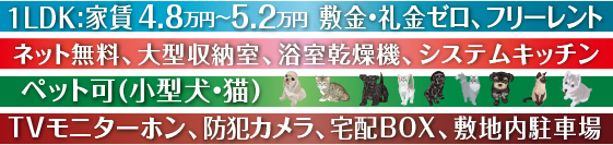 ybg(^EL)TVj^[zAhƃJAzBOXA~nԏlbgA^[A@AVXeLb`PLDK:ƒ4.6~`4.8~A~E[At[g