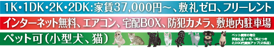 ybgi^ALjC^[lbgڑAGARAzBOXA~nԏPKE1DKE2KE2DK:ƒ37,0OO~`A~[At[gybg̏ꍇ
ʓr1A1Cɂ2,000~Abv(QC)AhƃJ