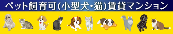 ペット可(小型犬・猫)