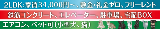 ybg(^EL)TVj^[zAhƃJA~nԏiQj3LDK:ƒ3.7~`A~E[At[gAzBOX