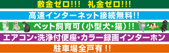 ~Esv!!
C^[lbgAGAREJ[^C^[zAzBOX
